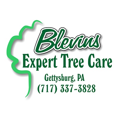 Blevins Expert Tree Care, LLC Logo