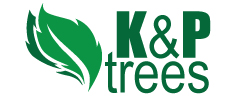 K & P TREES Logo