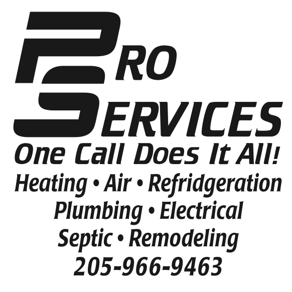 Pro Services Logo