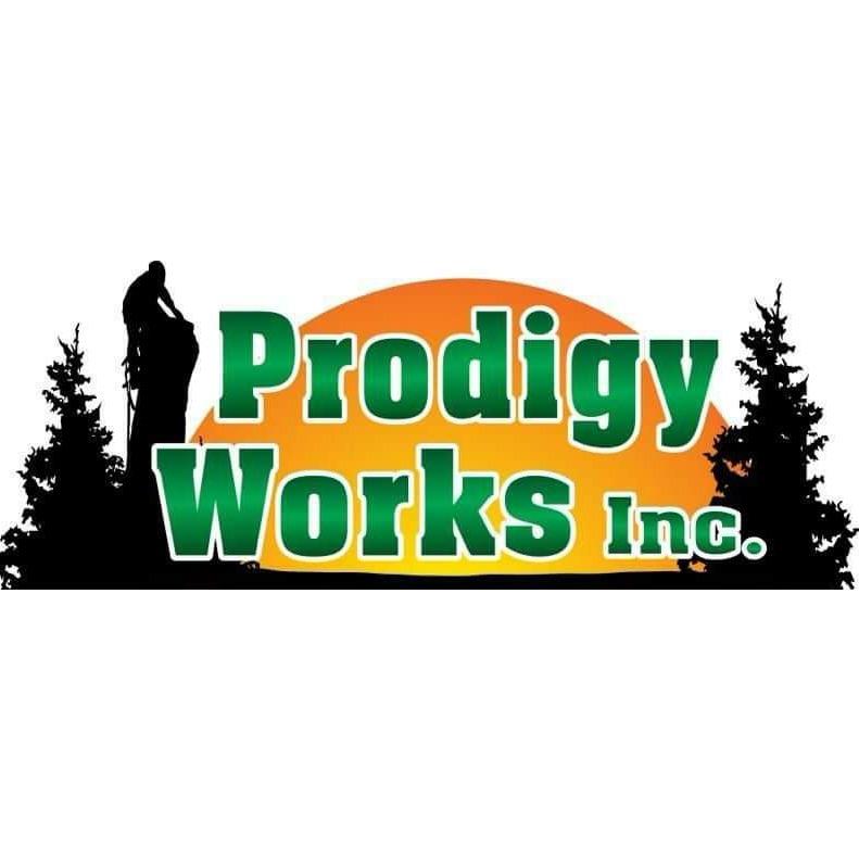 Prodigy Works Logo
