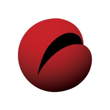 Rollo Gurss Construction and Roofscapes Logo