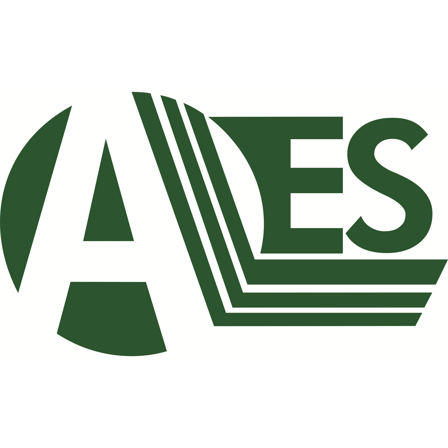 Air Environmental Services Logo