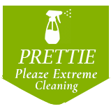 Prettie Pleaze Extreme Cleaning Logo