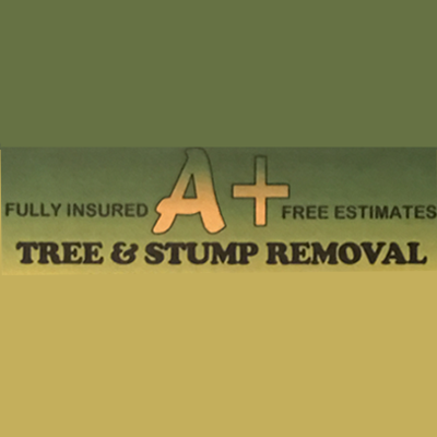 A + Tree & Stump Removal Logo